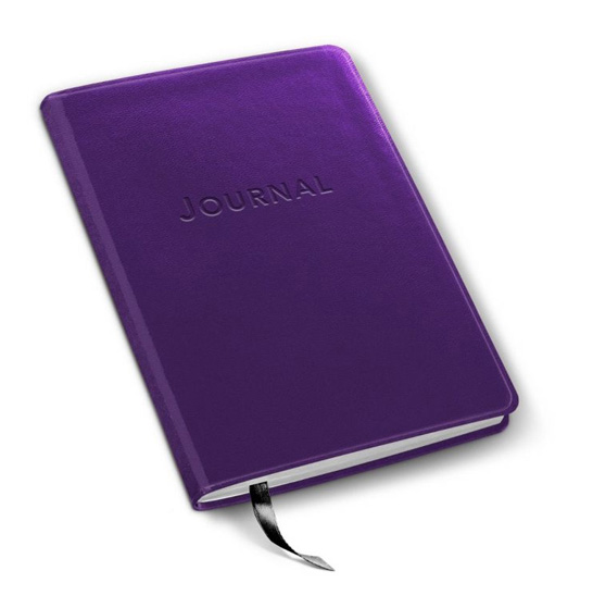 harbor desk journal in metal kid purple